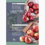 Сортовые яблоки опт