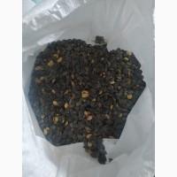 Продам насіння голонасінного гарбуза