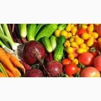 Продам овочі опт та крупний опт