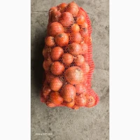 Продам лук сорт Меллори. Хорошее качество. Фазированная