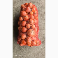 Продам лук сорт Меллори. Хорошее качество. Фазированная
