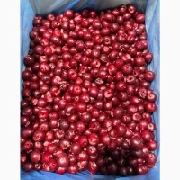 Продам вишню без кісточки вищого гатунку