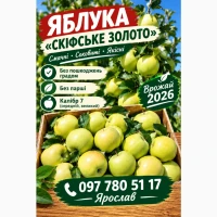 Продаж яблук Скіфське золото