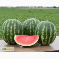 Продам семена Арбуз Кримстар F1 (Sakata, Япония)