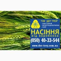 Семена озимой пшеницы Кубус, урожай 2017 года от компании Дер Трей