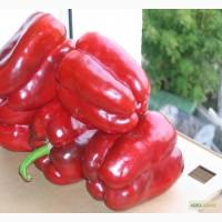 Продам перец Геркулес F1