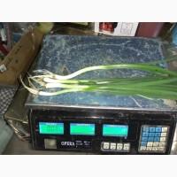 Продам цибулю на перо