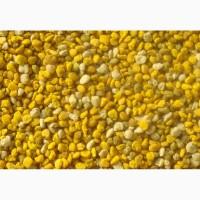 Продам Пилок 2019