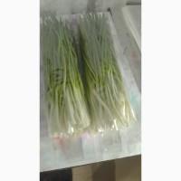 Зелёный лук