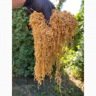 Імпортний Тютюн! Вірджинія Голд/ Золоте руно/Winston / Kapitan Blek/ Oriental /Marlboro