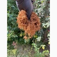 Імпортний Тютюн! Вірджинія Голд/ Золоте руно/Winston / Kapitan Blek/ Oriental /Marlboro