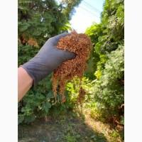 Імпортний Тютюн! Вірджинія Голд/ Золоте руно/Winston / Kapitan Blek/ Oriental /Marlboro