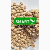 НАСІННЯ Люпин вузьколистий