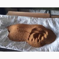Продам жовту гірчицю