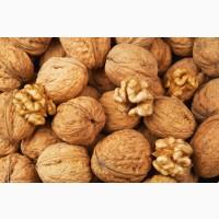 Куплю чищений горіх та квасолю цукрову