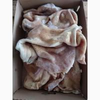 Продам рубець митий, чищений, шпарений Київ