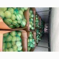 Продам капусту