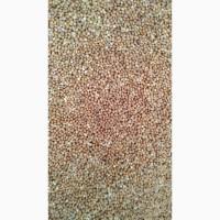 Продам просо