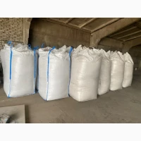 Продам насіння гарбуза, опт Ф1
