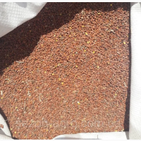 Посівне насіння льону