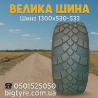 Вантажна шина 1300x530-533