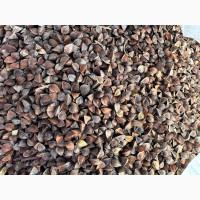 Гречку по всій Україні. Купуємо. Самовивіз