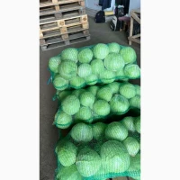 Продам капусту