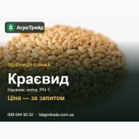 Пшениця Краєвид - насіння озимої пшениці, еліта, РН-1