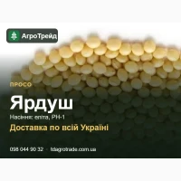 Сортове насіння проса Ярдуш