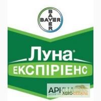 Куплю Тітус, Авіатор, Ширлан. Також купую фалькон, дерозал, куплю кароген