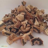 Продам сушеный гриб Веселка