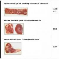 Продам говядину блочную на экспорт частями или по сортам