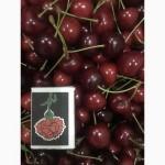 Продам черешню сорту Чкаловка, Мелітопольська