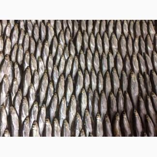 Себель / Верховодка/ Уклейка / Верховка / Чебанчик, Вяленая