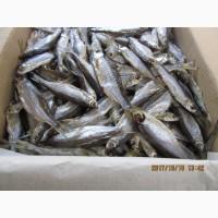 Себель / Верховодка/ Уклейка / Верховка / Чебанчик, Вяленая