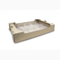 Лоток клубничный с пинетками (5 кг) клубника, малина, смородина, ежевика