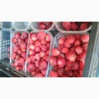 Клубника полуниця