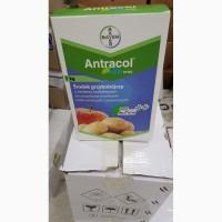 Антракол - захист томатів, огірків, картоплі, садів та виноградників