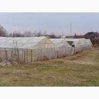 Продам теплици