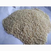 Fresh high quality sesame seeds / White clean sesame seeds for sale