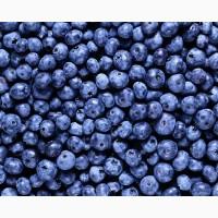 Чорниця / Черника сушена - ягоди - Карпати. Доставка по Києву - безплатно