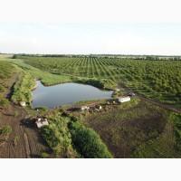 Горіховий сад, Миколаївська область, 56 га