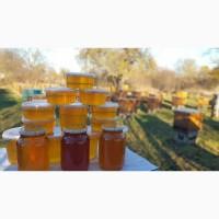 Закарпатский мёд, акация, разнотравье, горный, липа и акация, 2021