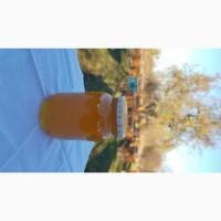 Закарпатский мёд, акация, разнотравье, горный, липа и акация, 2021