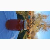 Закарпатский мёд, акация, разнотравье, горный, липа и акация, 2021