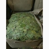 Продам Лавровый лист