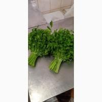 Зелень різна