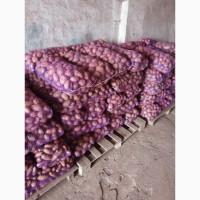 Продам товарна картопля