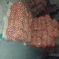 Продам цибулю на вигонку зеленого пера