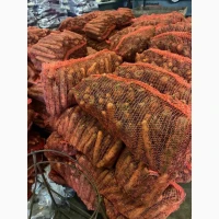 Морква товарна 1 гатунок